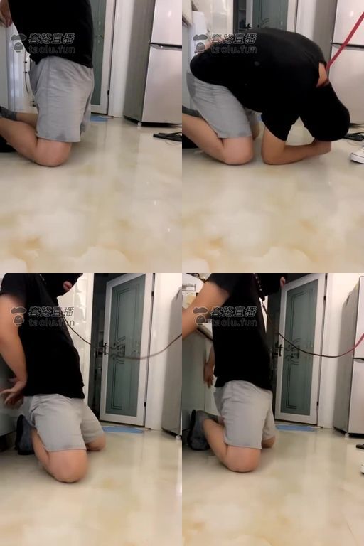 云云酱-帆布鞋踢裆,全体重踩狗