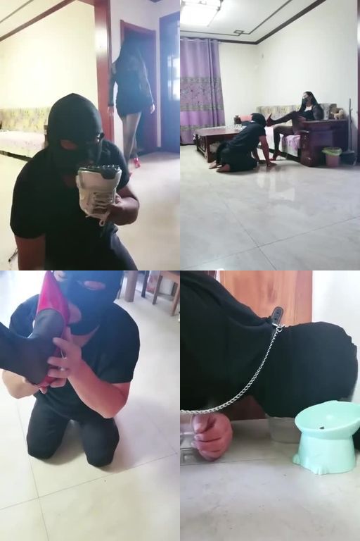 冷艳S-TJ调教狗奴