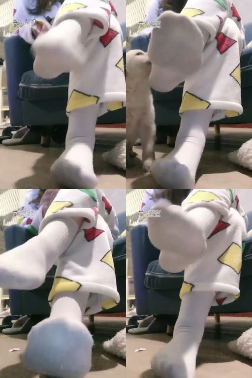 南星-第一视角脏棉袜辱骂全家,带着你的全家来给我磕头