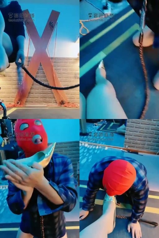 天香百合-吃屎狗来了