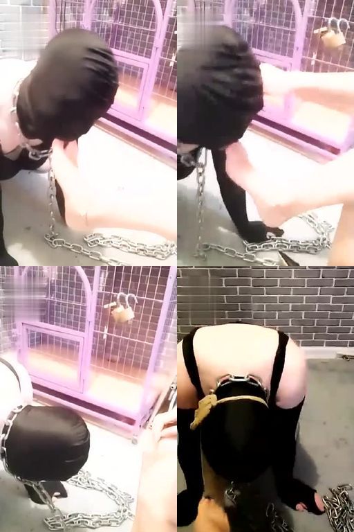 天香百合-天香百合无奈的奴隶