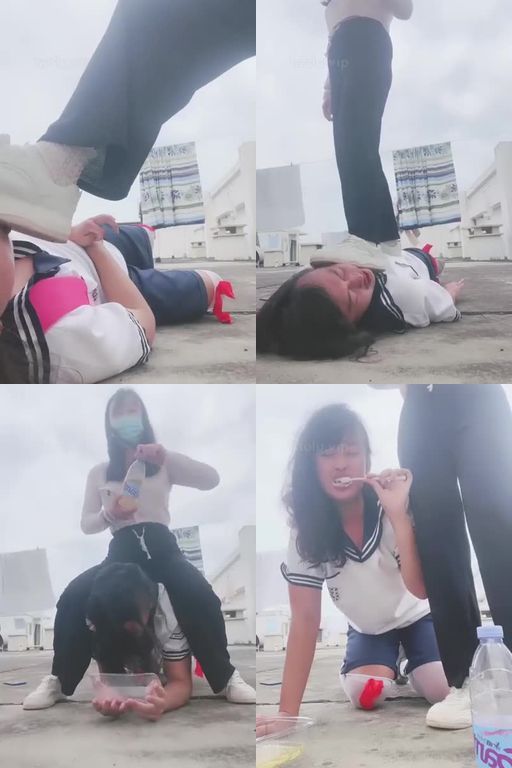 桃子老师-户外当狗圣水刷牙泡饭脏鞋踩脸踹头清理鞋底爬行