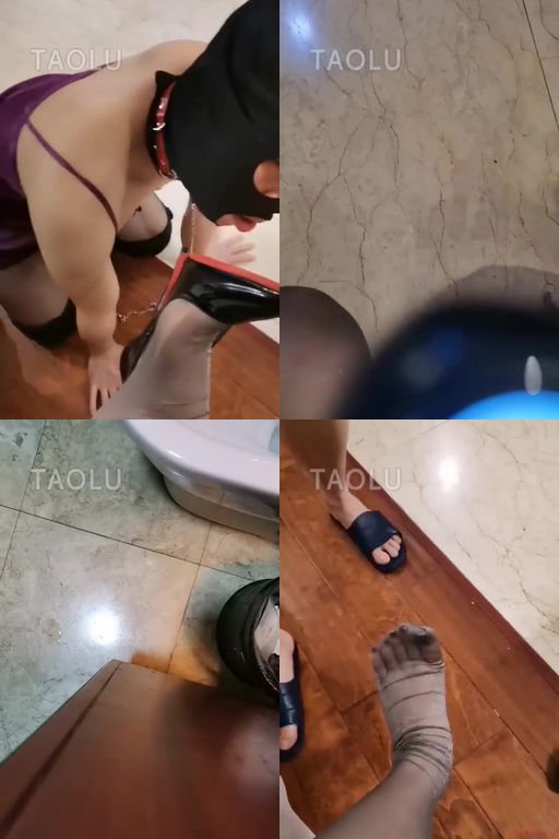 广东冰冰-CD狗无敌贱