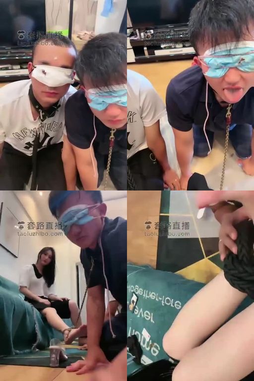 思诺-双狗的应聘典礼