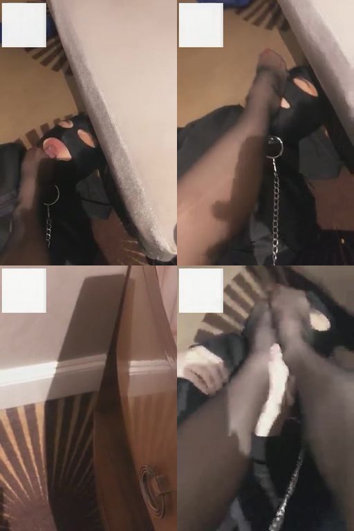 歌迪丝-让主人教长沙狗如何买原味