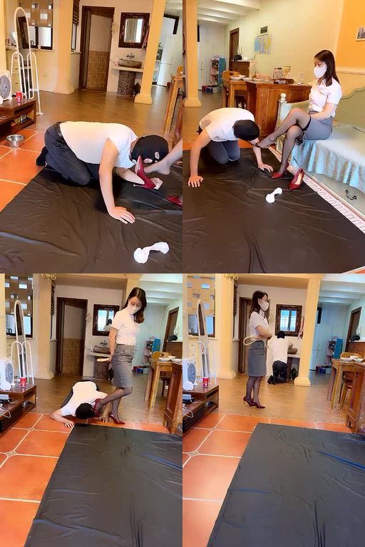 绯闻王妃-职业装生活化家奴2