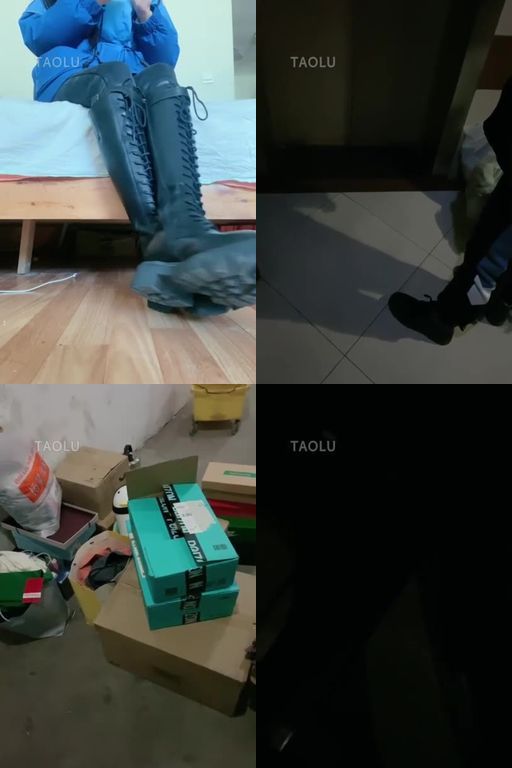 罗宾-两苦力狗比来给我搬家57分钟