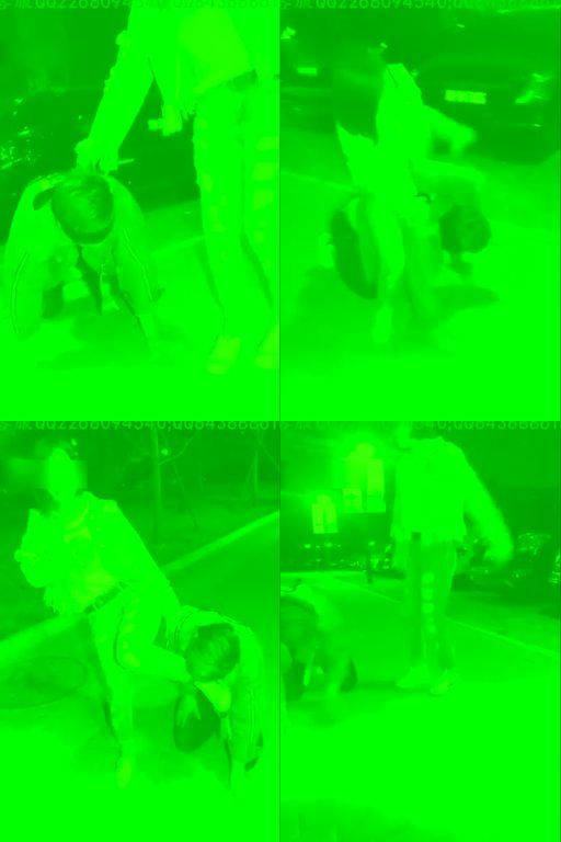 美丝大大-户外调教贱狗