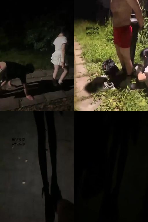 葱宝S-户外调教狗子被钓鱼佬发现户外狗爬犬化鞭打跪舔皮鞋白袜捆绑