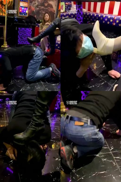 这个女皇不太冷-KTV玩转泰迪乌龟25分钟