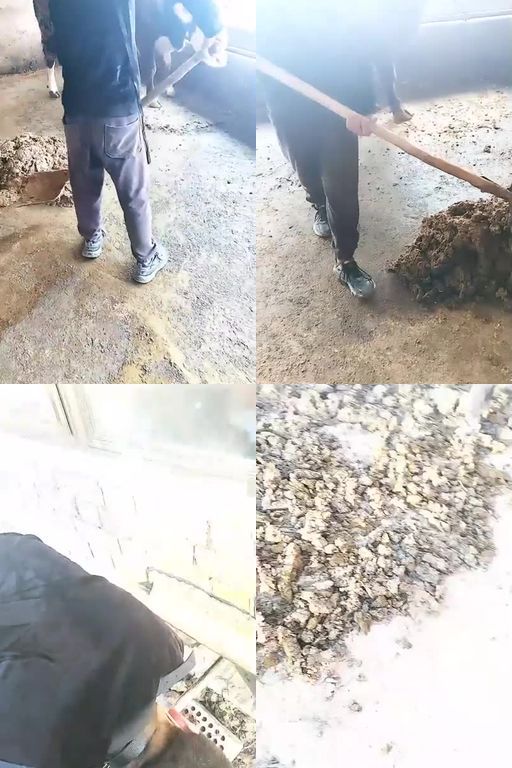 银南女帝-家奴家务活