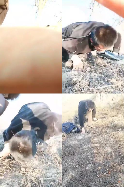 银南女帝-直接大冰库里虐