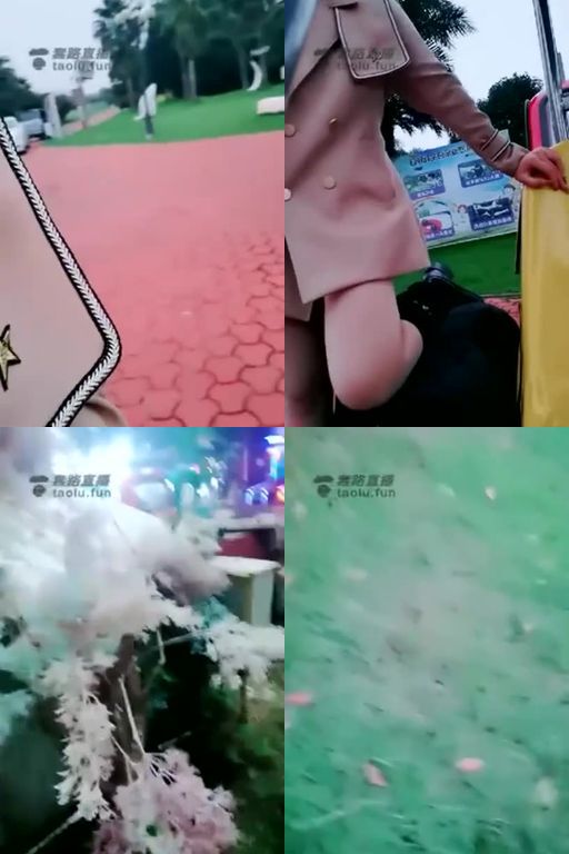 雪王-户外调狗,大草坪骑马