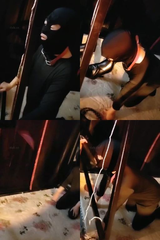 黑玫瑰-刑房彻底犬化奴隶