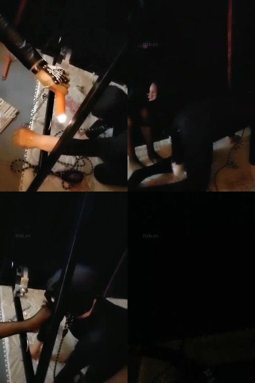 黑玫瑰-刑房重度虐废圈养奴