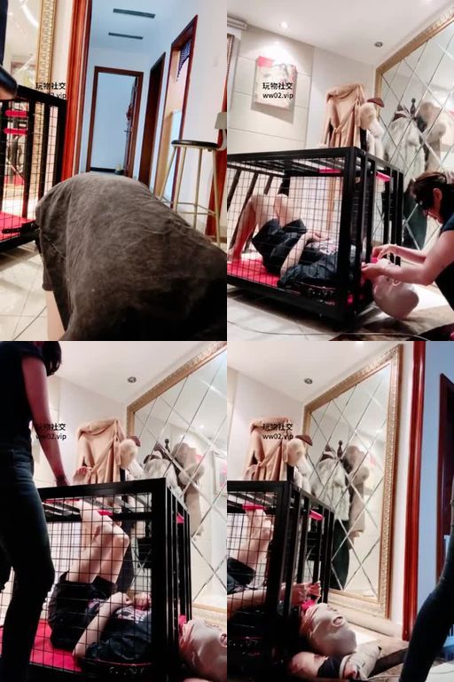 予涵大大-狗笼囚禁闻舔原味棉袜