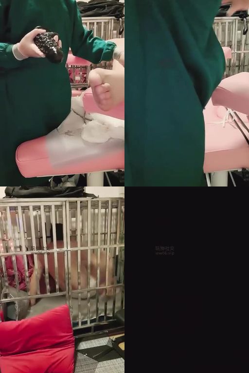 宿迁兰姐-爆狗狗_菊花