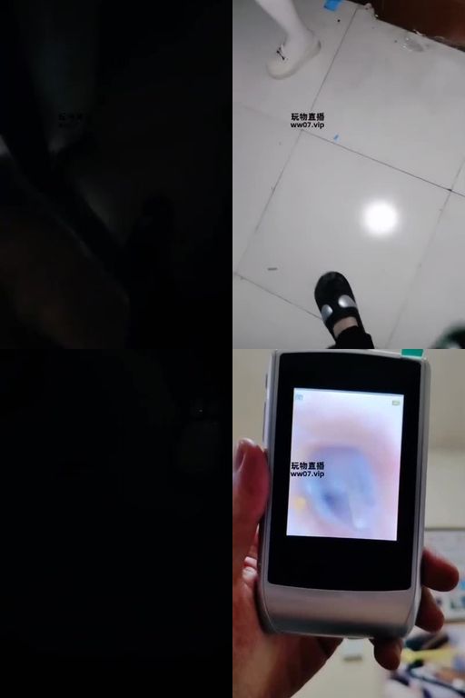 小李子-白丝骚鸡