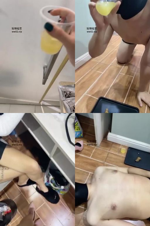 白兔S-调教狗吃黄金加圣水双S轮流踩踏舔脏地板胯下羞辱