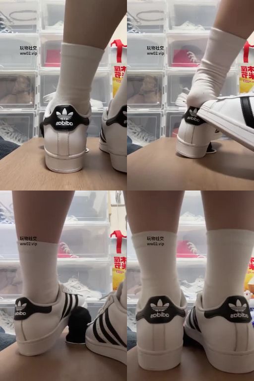 萧萧大人-贝壳头踩~