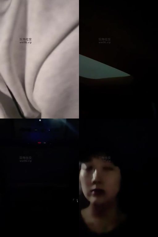 黑冰-车里调教小白