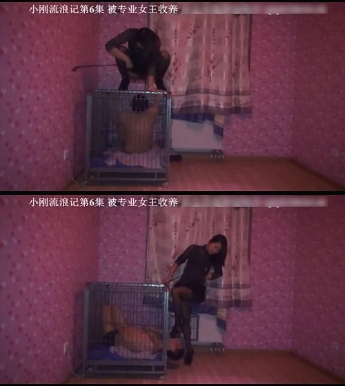 小刚-被专业女王收养