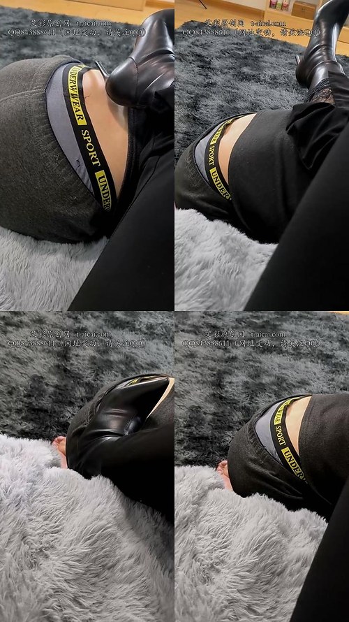 楼遥-日常玩狗12