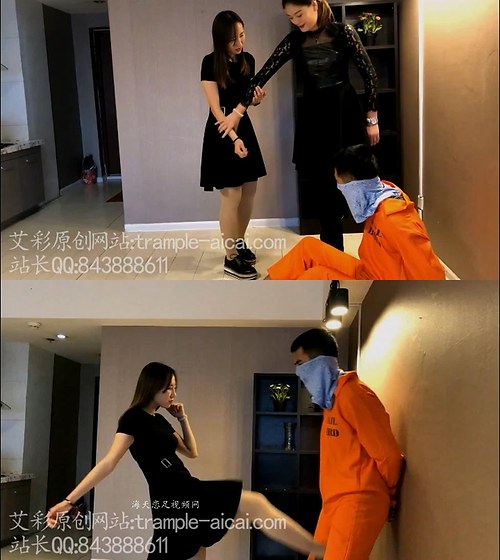 艾彩-剧情两主修理倒霉的小狗狗